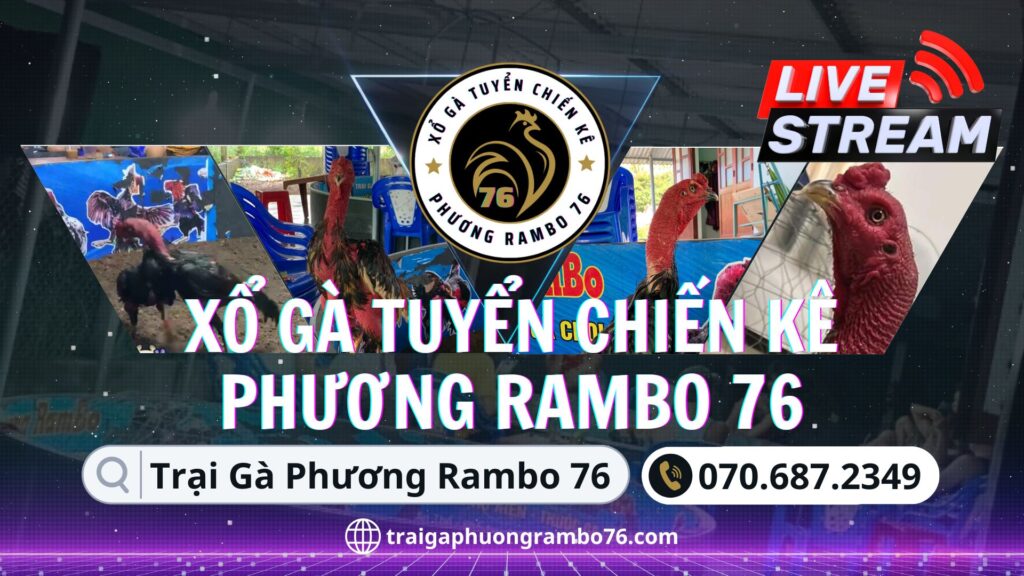 Video xem lại